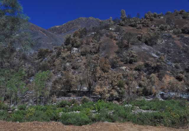 Yosemite fire Aug 2011